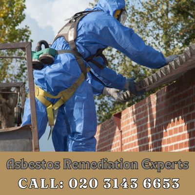 Asbestos Remediation Experts Chelsham