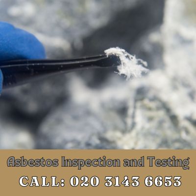 Comprehensive Asbestos Inspection and Testing Services in Chelsham